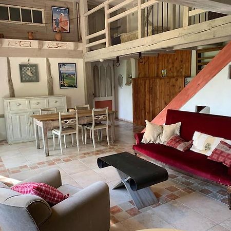 Le Tapis Vert - Loft Avec Jardin Auch Kültér fotó