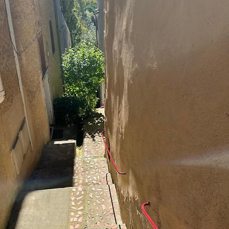 Le Tapis Vert - Loft Avec Jardin Auch Kültér fotó